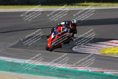 media/Mar-17-2024-Fastrack Riders (Sun) [[c7d6f8c14c]]/Level 1/Turn 6/